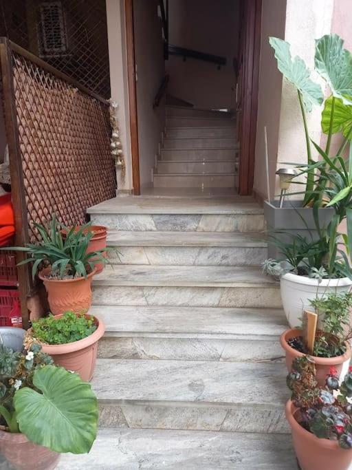 Το Σπίτι Του Γιάννη Apartment Pyli ภายนอก รูปภาพ